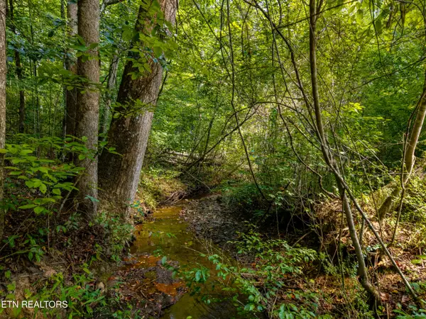 407 Chetola Tr, Townsend, TN 37882