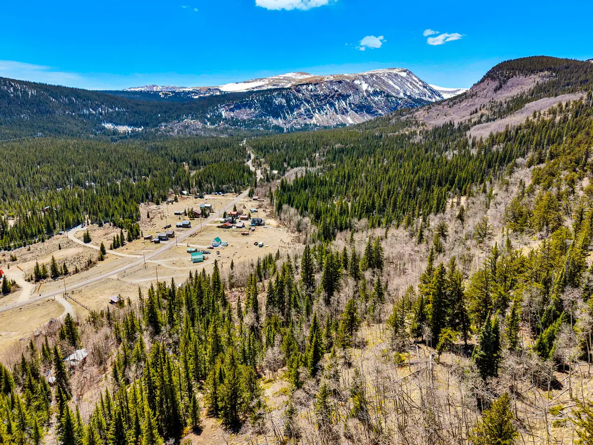 270 Co Rd 667, Alma, CO 80440 - #1