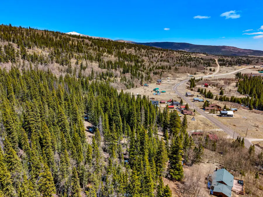 270 Co Rd 667, Alma, CO 80440 - #2