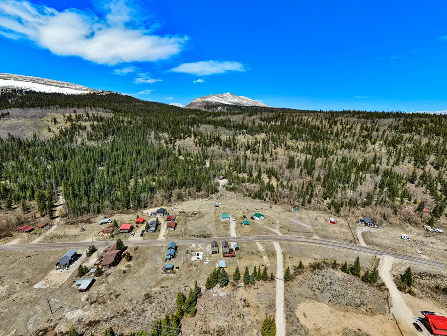 270 Co Rd 667, Alma, CO 80440 - #3
