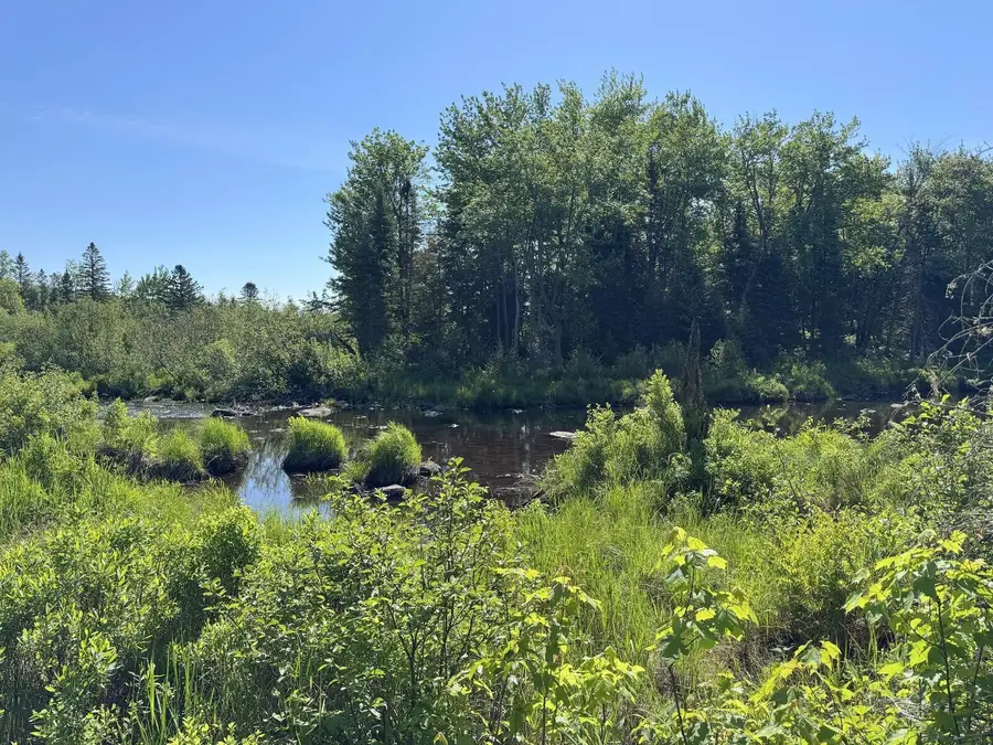 Lot 2B Kingfield Road, New Vineyard, ME 04956 - #3