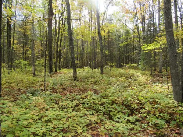 Lot 3 Scheers Road, Hayward, WI 54843