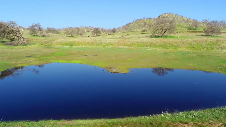 6147 Indian Gulch, Mariposa, CA 95338 - Image #3