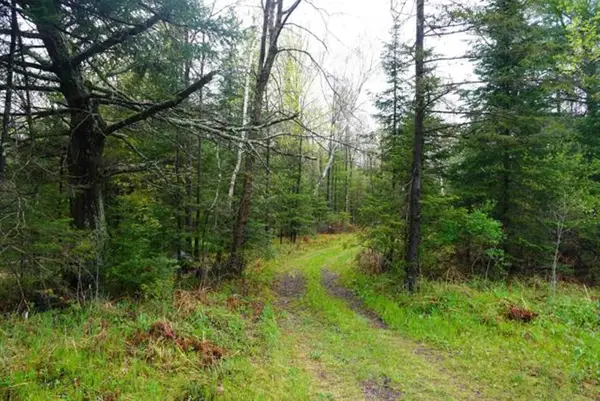 20 Acres S COUNTY ROAD X, Gleason, WI 54435