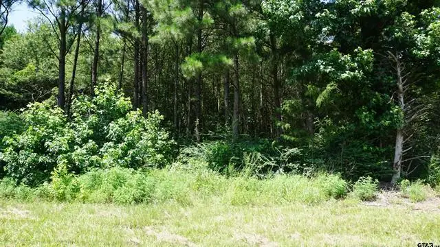 TBD Hwy 80, Hawkins, TX 75765 - #1