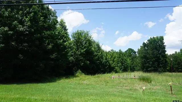 TBD Hwy 80, Hawkins, TX 75765 - #2