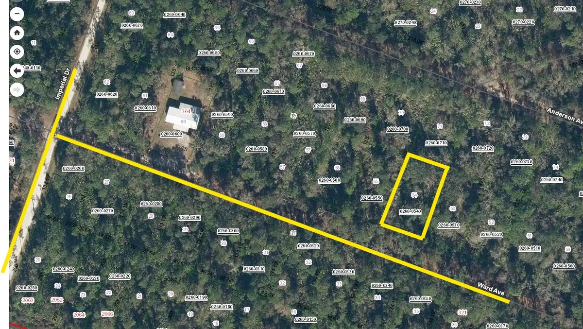 316 Ward Avenue, Crescent City, FL 32112 - #1