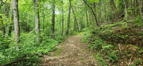 13 AC Goose Island Road, Ellijay, GA 30540