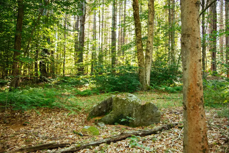 Lot 1 Woodstone Trail, Lumberland, NY 12737 - #2