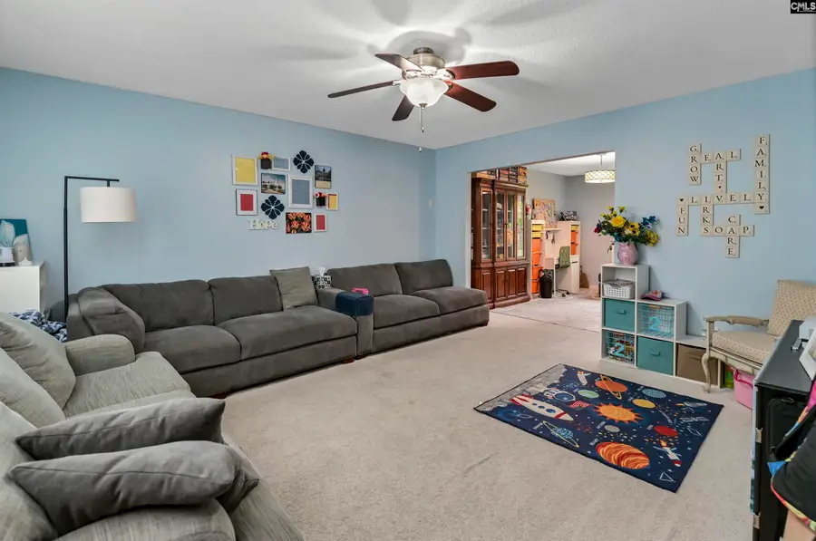 116 Wingspan Way, Chapin, SC 29036 - #2