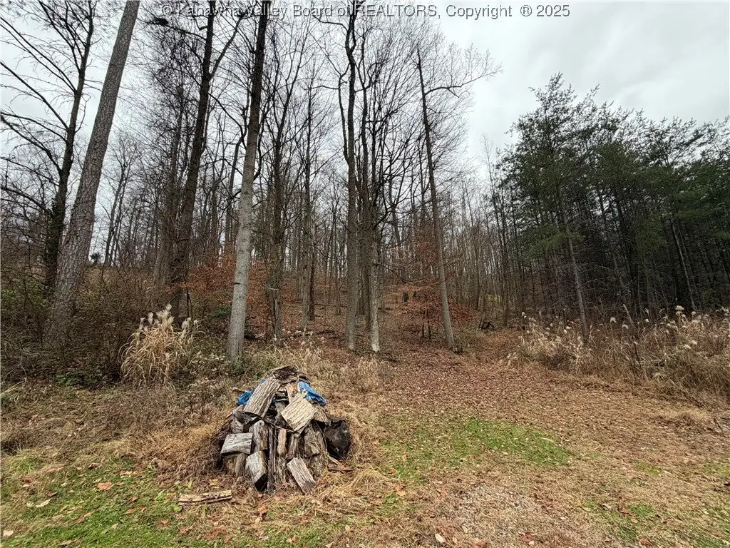 25 Pinson Drive, Winfield, WV 25213 - Image #1