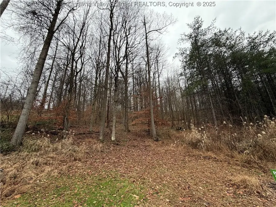 25 Pinson Drive, Winfield, WV 25213 - Image #2