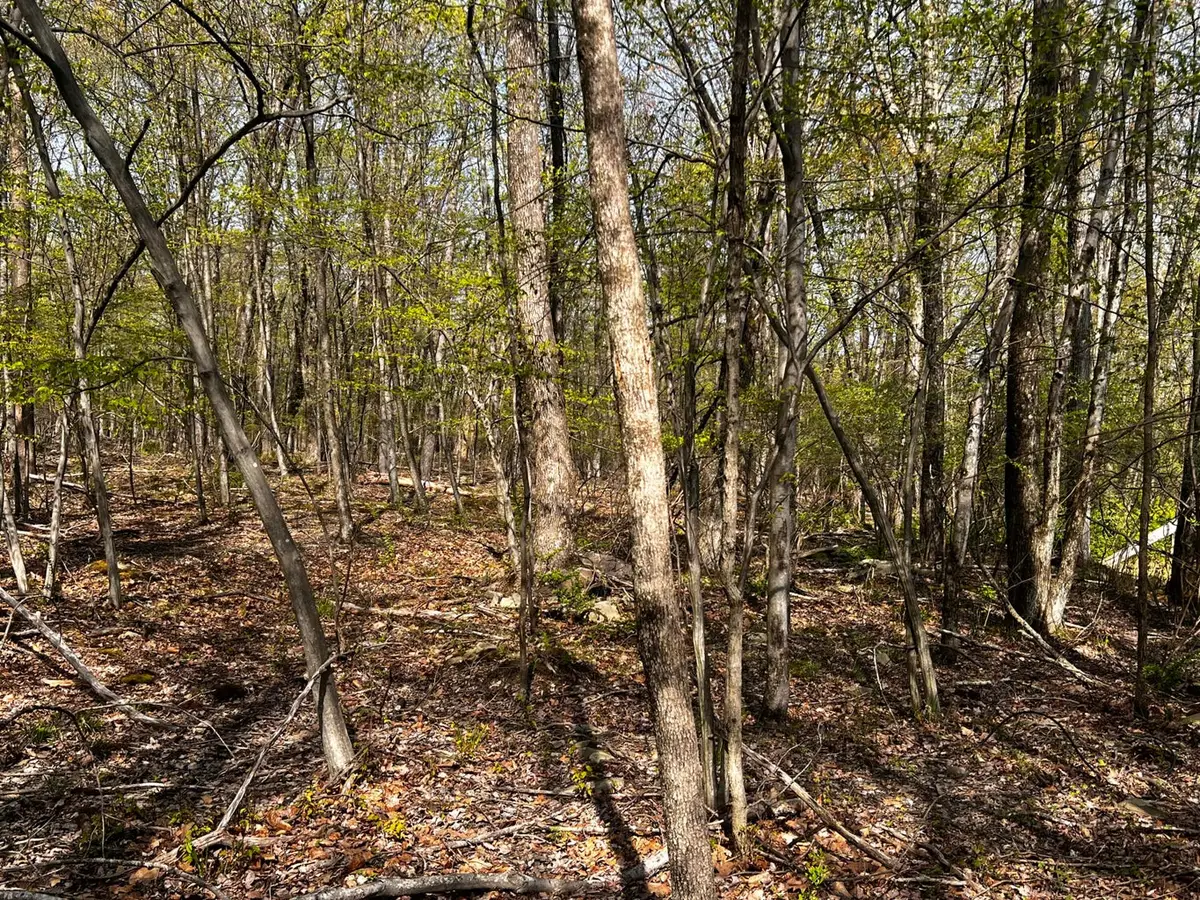 Lot 72 Larkspur/woodruff, Stroudsburg, PA 18360 - Image #1