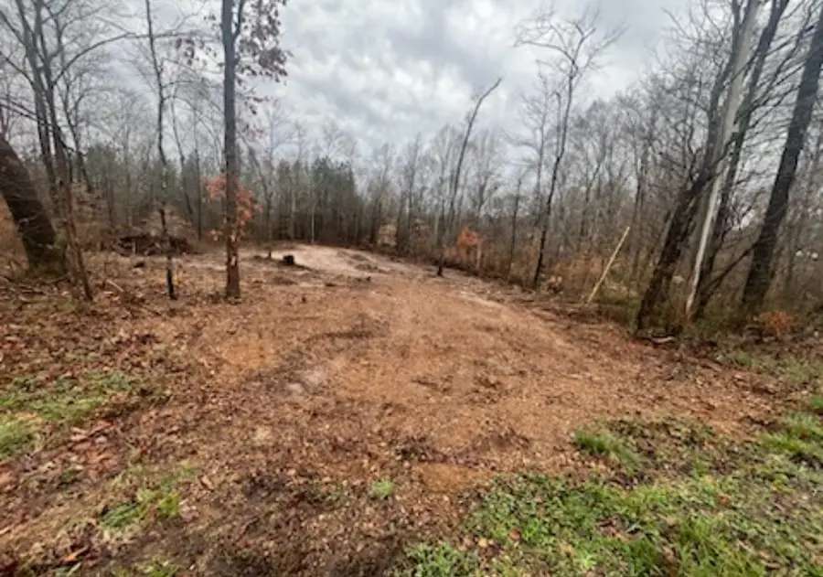 1 Forest Trl, Bumpus Mills, TN 37028 - Image #2