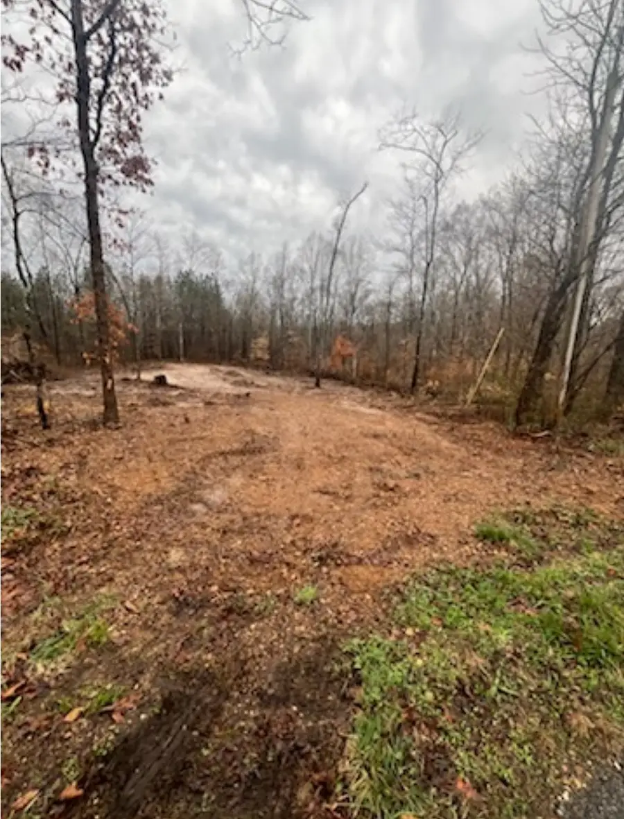 1 Forest Trl, Bumpus Mills, TN 37028 - Image #3