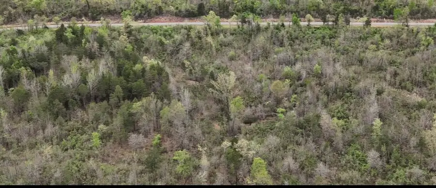 11.32 acre County Road 2228 (a), Hartman, AR 72840 - #2