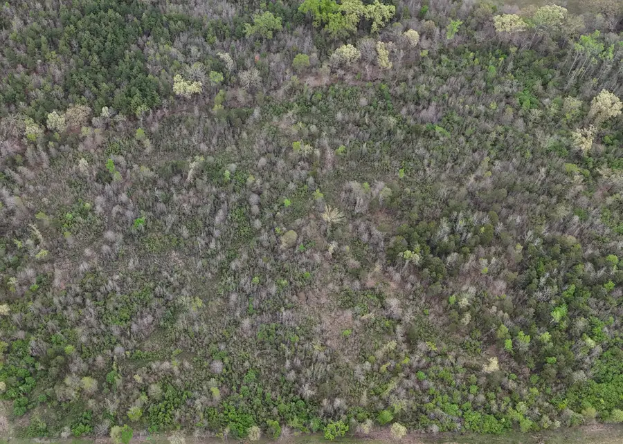 11.32 acre County Road 2228 (a), Hartman, AR 72840 - #3