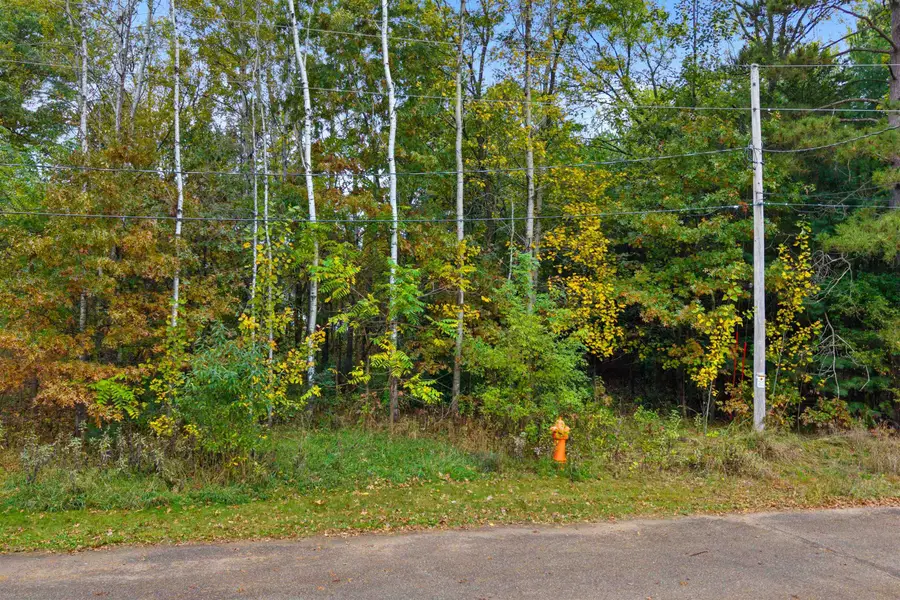 WOOD STREET, Redgranite, WI 54970 - #2