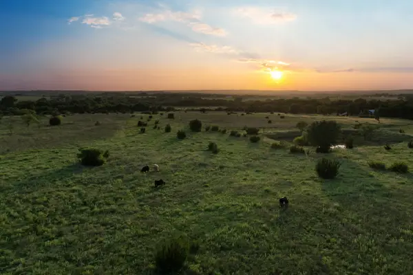 15313 Margarita Court, Lipan, TX 76462