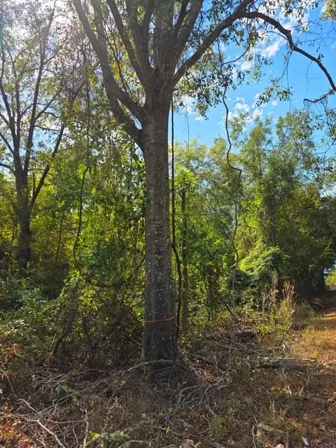 00 Cooney Bonnett Road, Eros, LA 71238