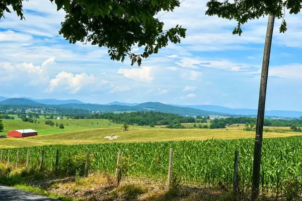 Garber Rd, MOUNT JACKSON, VA 22842