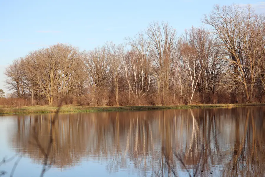 TBD 60th Street Sw, Pequot Lakes, MN 56472 - #2