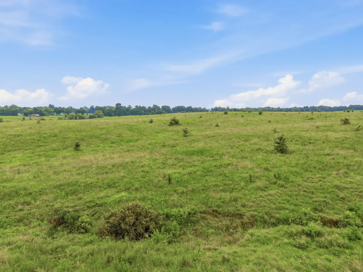 46 Caps Rd, Indian Mound, TN 37079 - #1