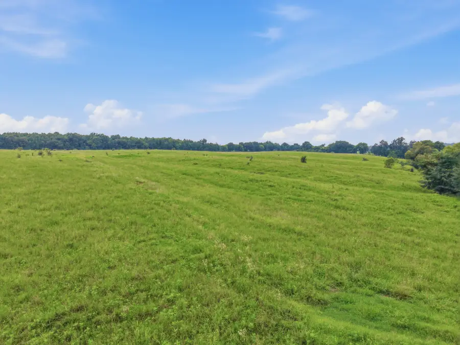 46 Caps Rd, Indian Mound, TN 37079 - #3