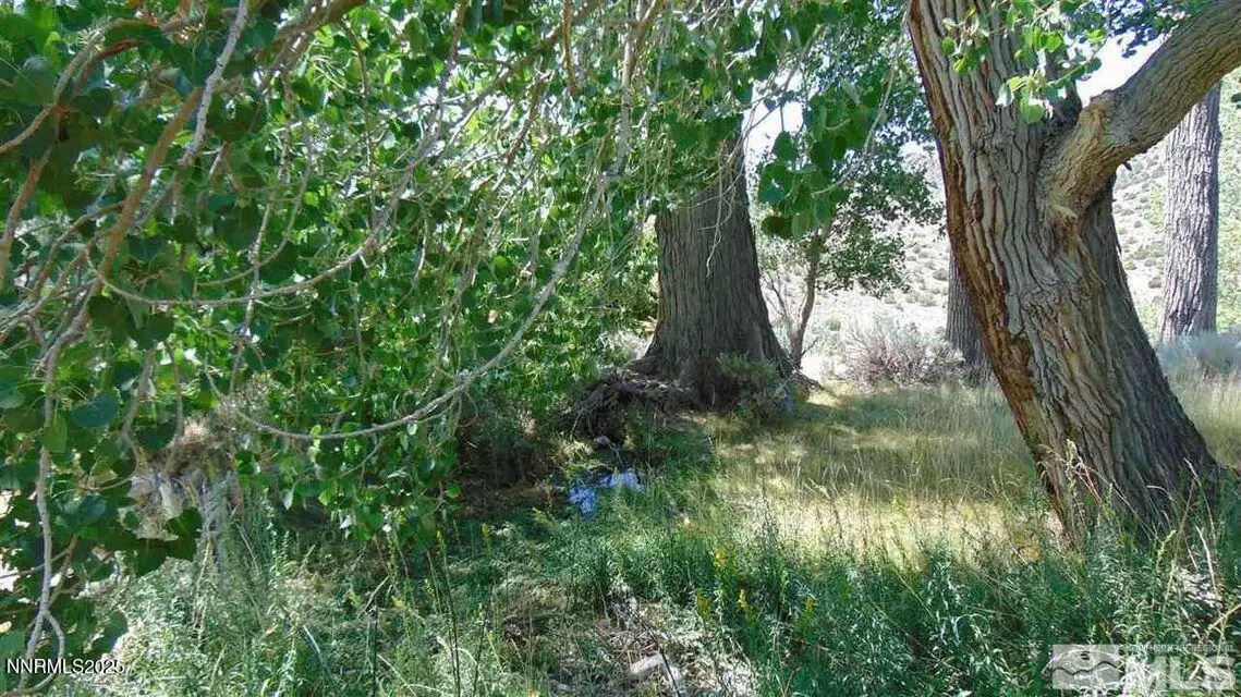 00429110 Sutro Springs Rd. #004-291-10, Dayton, NV 89403 - Image #1