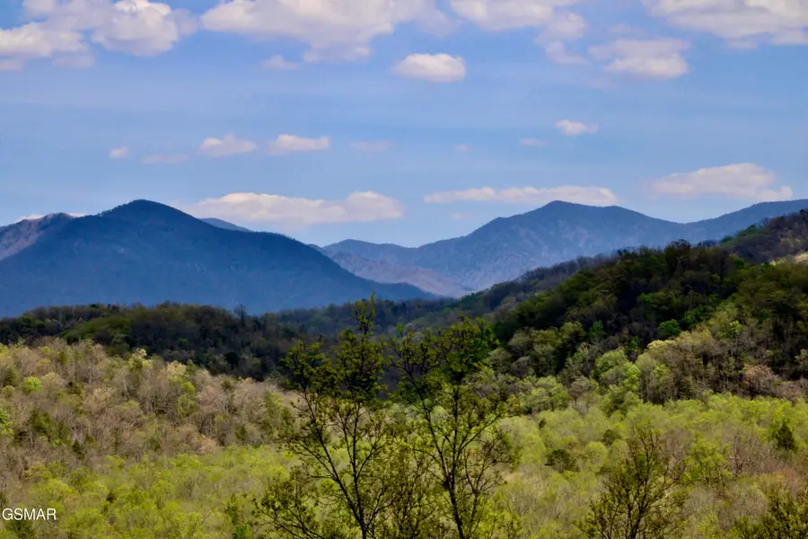 224 Woodland Road #UNIT 103, Gatlinburg, TN 37738 - #2