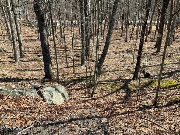 Lot 290 Mountain Top Drive, Dingmans Ferry, PA 18328