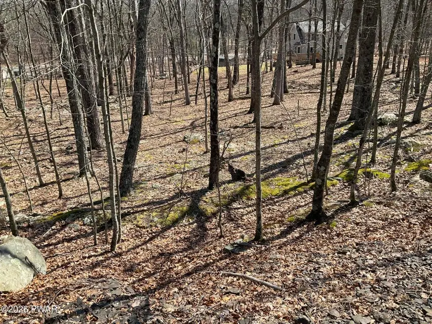 Lot 290 Mountain Top Drive, Dingmans Ferry, PA 18328 - #3