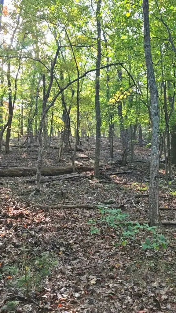 315 Windflower Drive, Big Canoe, GA 30534 - Image #2