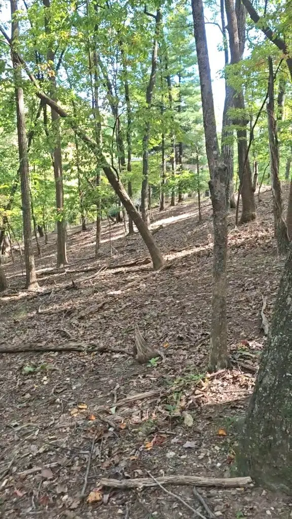 315 Windflower Drive, Big Canoe, GA 30534 - Image #3