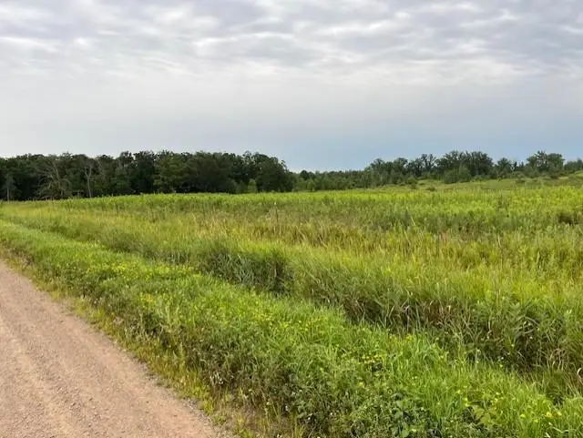 xxxx 240th Avenue, Brook Park, MN 55007 - #1