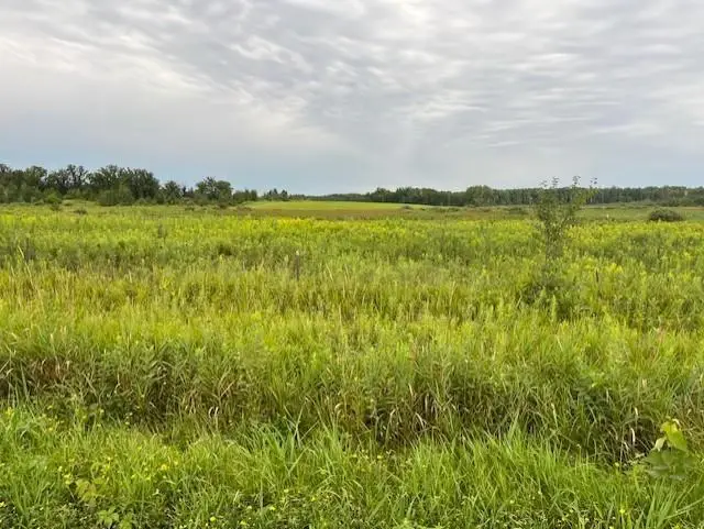 xxxx 240th Avenue, Brook Park, MN 55007 - #2