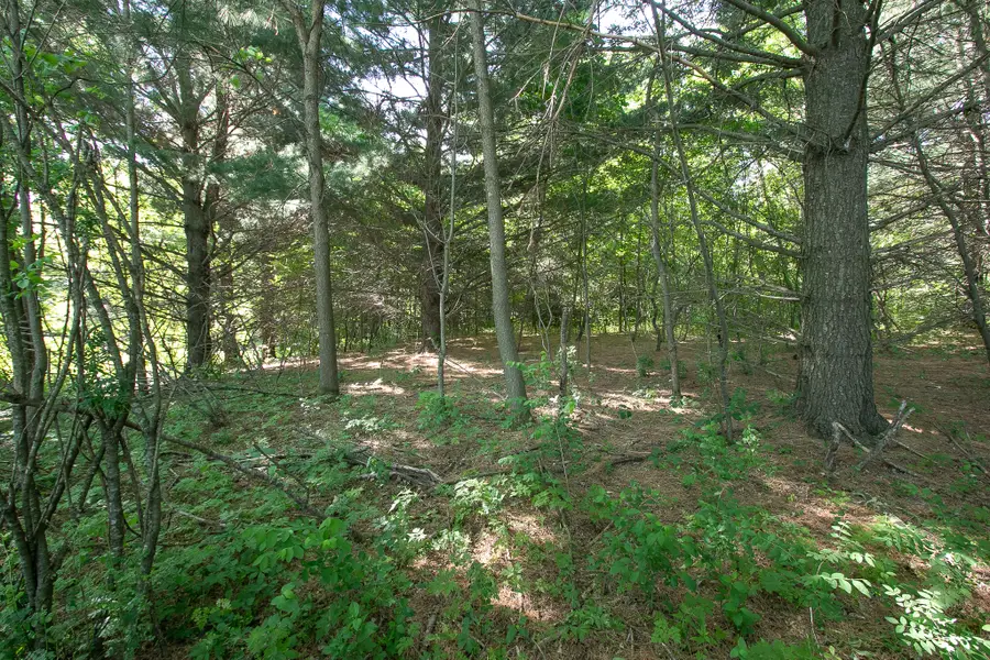 TBD N Rush Point Drive W, Stanchfield, MN 55080 - #3