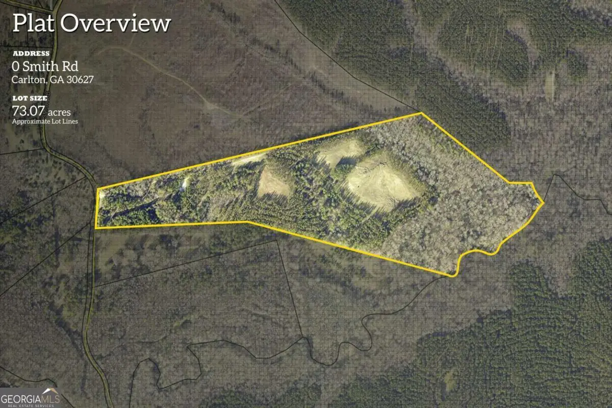 0 Smith Road, Carlton, GA 30627 - Image #1