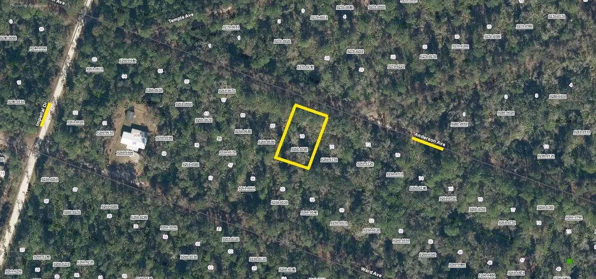 215 Anderson Avenue, Crescent City, FL 32112 - #1