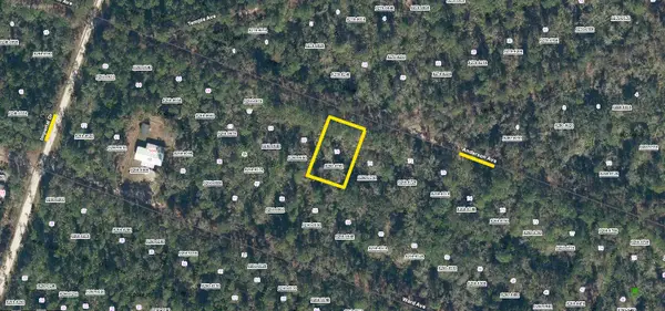 215 Anderson Avenue, Crescent City, FL 32112