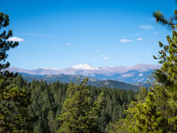 6371 Canyon Creek Road, Evergreen, CO 80439