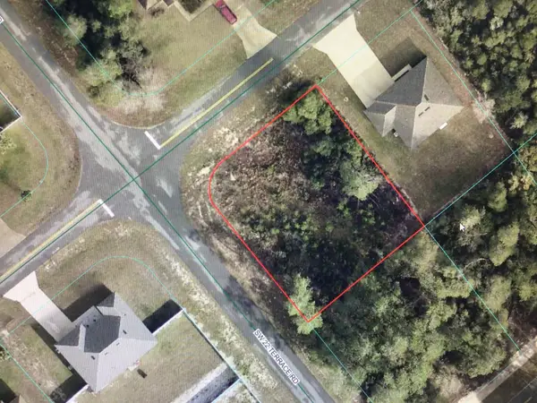 0 SW 165 Street Road, OCALA, FL 34473