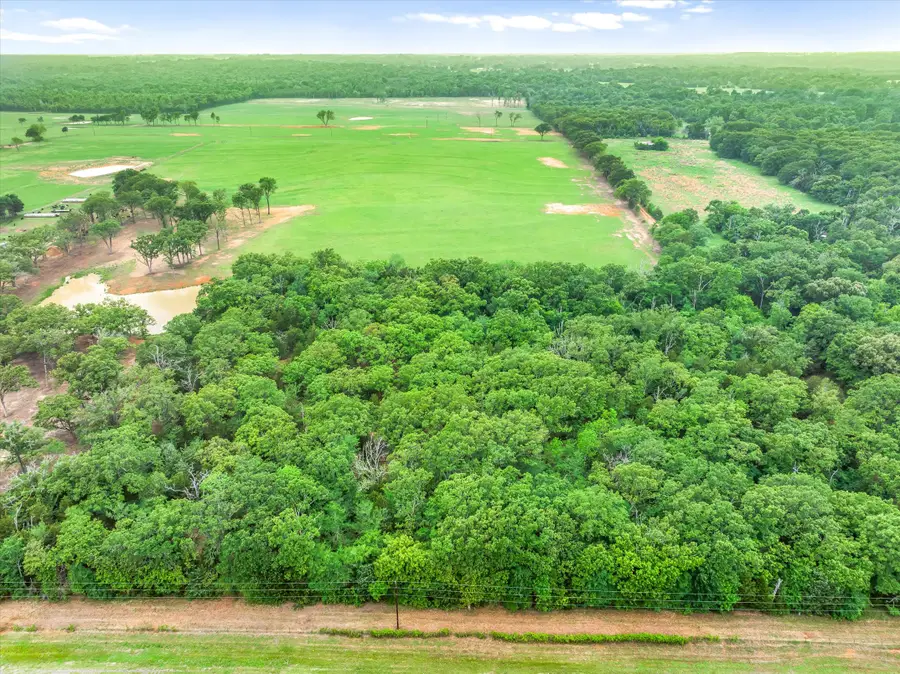TBD Fm 773, Ben Wheeler, TX 75754 - #3