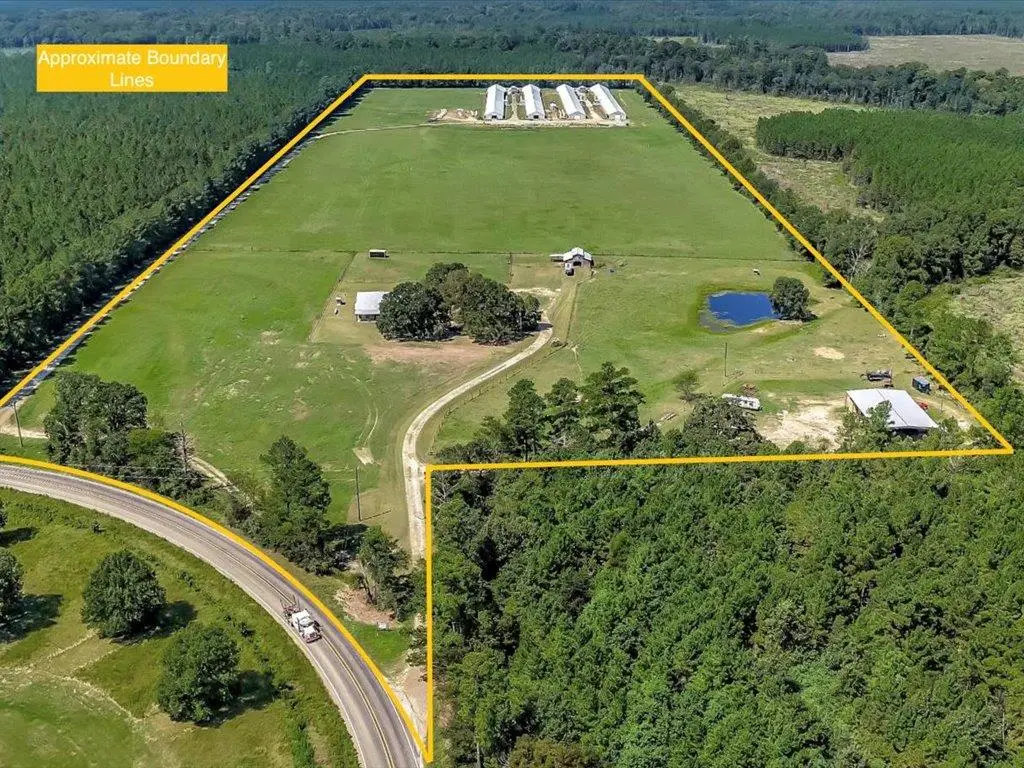 19387 Fm 1818, Huntington, TX 75949 - #1