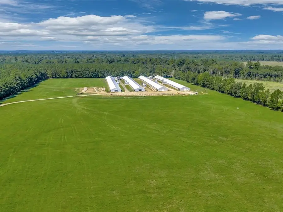 19387 Fm 1818, Huntington, TX 75949 - #2