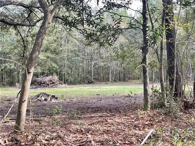 37285 Dummyline Road, Pearl River, LA 70452 - Image #3