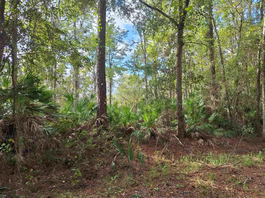 201 Pineway West Avenue, Satsuma, FL 32189 - Image #2