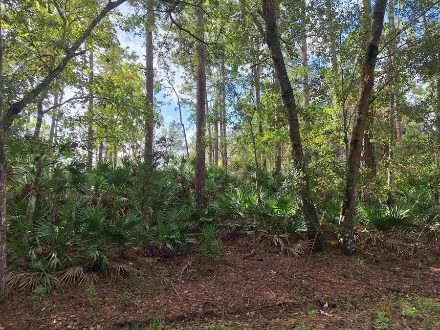 201 Pineway West Avenue, Satsuma, FL 32189 - Image #3