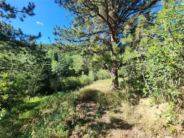 531 Caribou Road, Nederland, CO 80466