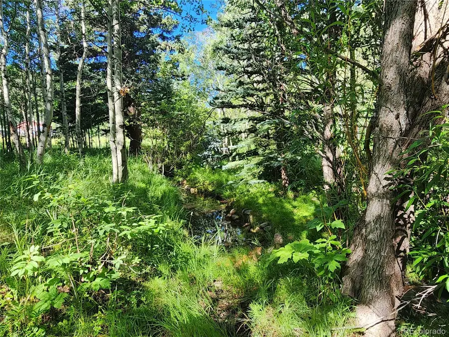 531 Caribou Road, Nederland, CO 80466 - #2